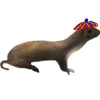 http://www.phishy.net/graphics/mcweasel.jpg